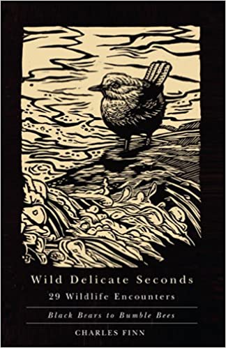 Wild Delicate Seconds   Paperback   By Charles Finn   2012