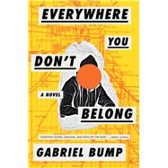 Everywhere you Don't Belong    A Novel   by Gabriel Bump  2020